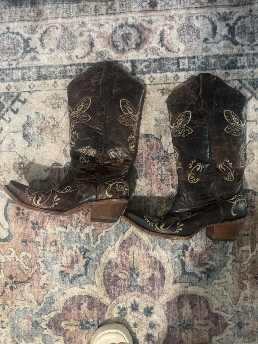 Circle G Dark Brown Western Embroidered Heeled Boots